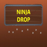 Ninja Drop